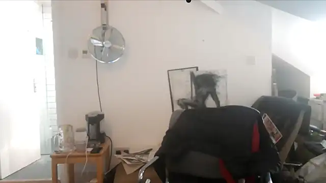 Snapshot of mista_sista_fista chatting on September 19, 2025, 2:54 pm mista sista fista online show from September 19, 2025, 2:54 pm