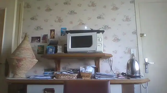 Snapshot of gegevincent chatting on April 15, 2026, 11:27 am gegevincent online show from April 15, 2026, 11:27 am
