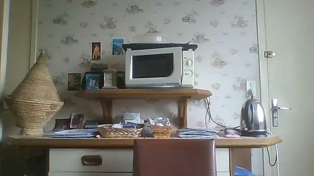 gegevincent online show from November 29, 2025, 2:06 pm