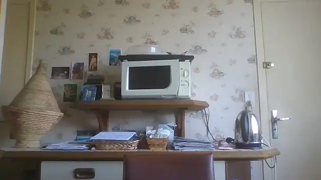 Snapshot of gegevincent chatting on April 4, 2026, 1:17 pm gegevincent online show from April 4, 2026, 1:17 pm