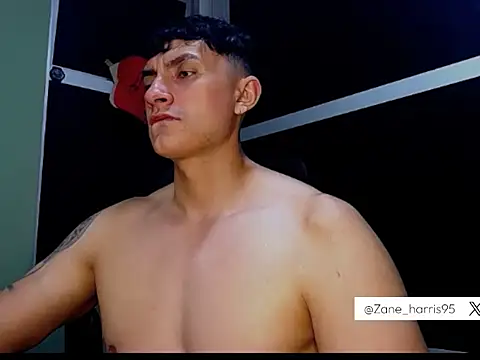 Snapshot of ZaneHarris chatting on December 17, 2025, 1:54 am ZaneHarris online show from December 17, 2025, 1:54 am