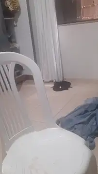 Urso Nerd online show from March 14, 2026, 3:51 pm