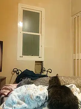 Pollagorda 34877 online show from December 20, 2025, 10:01 pm