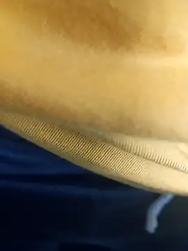 pauzudao 12 online show from March 3, 2026, 9:33 pm