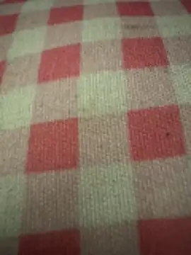 Snapshot of anonimgirl18old chatting on October 29, 2025, 5:01 pm anonimgirl18old online show from October 29, 2025, 5:01 pm