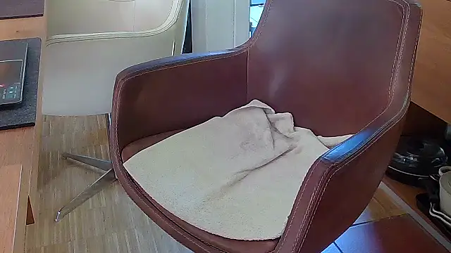 Snapshot of Unique_X_perience chatting on October 7, 2025, 12:06 pm Unique X perience online show from October 7, 2025, 12:06 pm