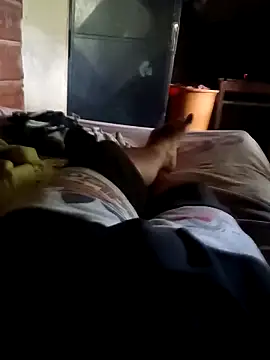 Snapshot of Davidii907552 chatting on March 26, 2026, 4:27 pm Davidii907552 online show from March 26, 2026, 4:27 pm