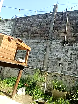 Snapshot of juanpa8453 chatting on September 15, 2025, 5:24 pm juanpa8453 online show from September 15, 2025, 5:24 pm