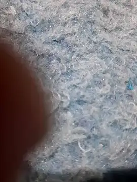 DonTorcuato online show from November 21, 2025, 6:12 am