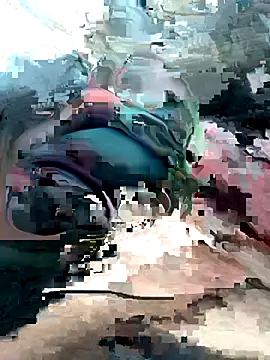 Snapshot of geraldoo007 chatting on October 28, 2025, 3:44 pm geraldoo007 online show from October 28, 2025, 3:44 pm