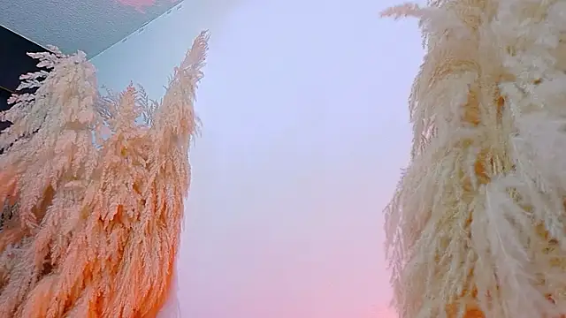 JulietaDavis online show from February 19, 2026, 8:11 am