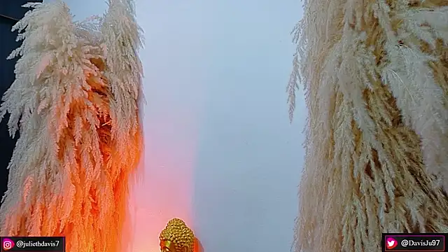 JulietaDavis online show from April 18, 2026, 9:33 am