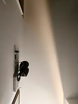 Snapshot of Hiroshi_Shen chatting on December 18, 2025, 11:19 pm Hiroshi Shen online show from December 18, 2025, 11:19 pm