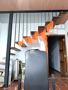 Snapshot of Hiroshi_Shen chatting on November 5, 2025, 11:24 am Hiroshi Shen online show from November 5, 2025, 11:24 am