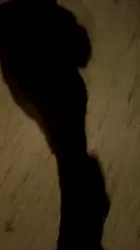 Snapshot of jvdzj-0_ chatting on October 12, 2025, 12:56 am jvdzj-0  online show from October 12, 2025, 12:56 am