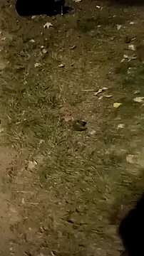 Snapshot of jvdzj-0_ chatting on October 18, 2025, 10:23 pm jvdzj-0  online show from October 18, 2025, 10:23 pm