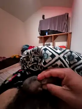 Snapshot of uratre chatting on December 18, 2025, 6:12 pm uratre online show from December 18, 2025, 6:12 pm