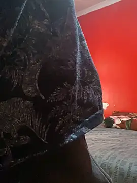 Snapshot of BaggyDirt chatting on November 7, 2025, 8:52 am BaggyDirt online show from November 7, 2025, 8:52 am