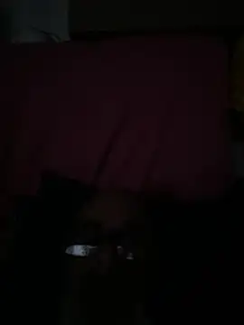 Snapshot of crisfootlicker chatting on July 28, 2026, 9:25 pm crisfootlicker online show from July 28, 2026, 9:25 pm