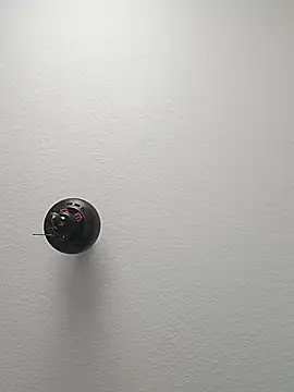 Kaalum561 online show from November 26, 2025, 1:00 pm