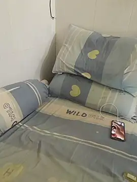 Snapshot of ducpham6565 chatting on November 21, 2025, 11:53 am ducpham6565 online show from November 21, 2025, 11:53 am