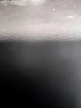 legaros online show from February 10, 2026, 9:30 am