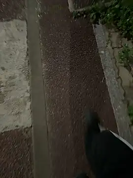 Snapshot of gochu1004 chatting on September 20, 2025, 3:39 pm gochu1004 online show from September 20, 2025, 3:39 pm