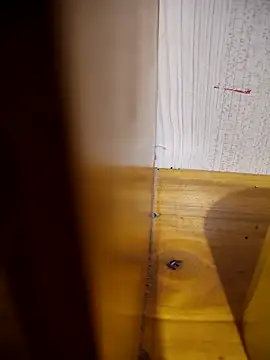 daisylouis online show from April 21, 2026, 1:07 am