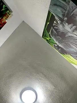 Snapshot of aavrdvh33 chatting on November 27, 2025, 7:14 pm aavrdvh33 online show from November 27, 2025, 7:14 pm