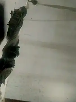 Luk909090 online show from March 14, 2026, 7:42 pm