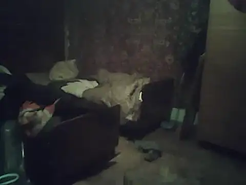 Snapshot of A1B3- chatting on February 2, 2026, 3:55 pm A1B3- online show from February 2, 2026, 3:55 pm