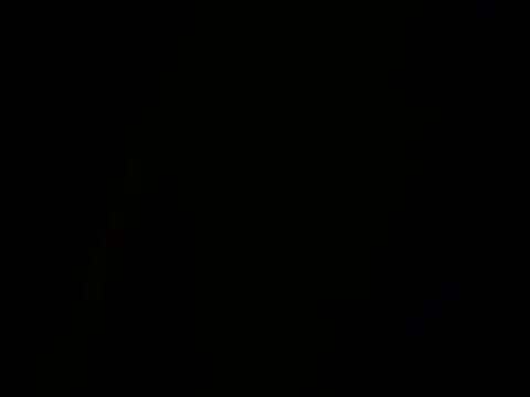 onedayonedollar online show from November 24, 2025, 1:33 pm