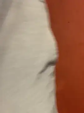 Snapshot of jabulani2600 chatting on February 22, 2026, 6:16 am jabulani2600 online show from February 22, 2026, 6:16 am