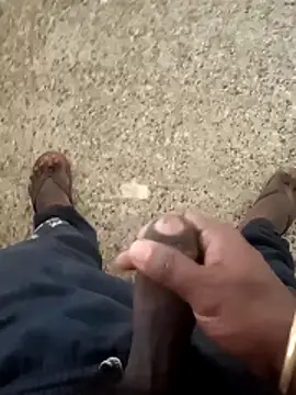 telugu b online show from December 23, 2025, 8:35 am