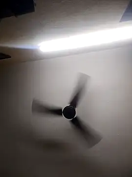 Devi-with-Ram online show from October 13, 2025, 4:36 am