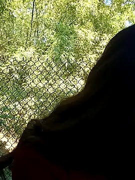 dimny sex online show from November 28, 2025, 3:17 am