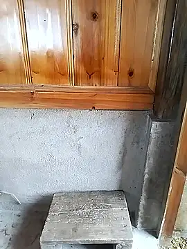 Tiyir597 online show from November 10, 2025, 4:06 am