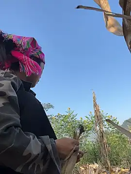 Snapshot of Phayphay77 chatting on November 15, 2025, 8:18 am Phayphay77 online show from November 15, 2025, 8:18 am