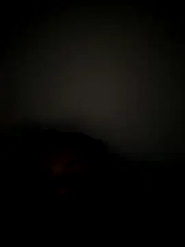 daliataleboficiall online show from November 18, 2025, 2:53 pm