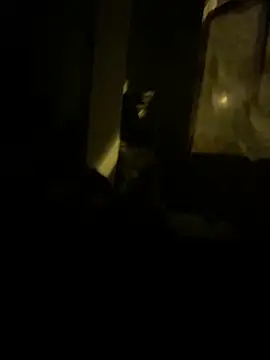 lDarkGreyl online show from October 23, 2025, 1:48 am