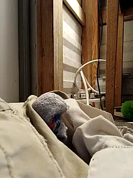 ShawnandDani7074 online show from February 17, 2026, 11:35 pm