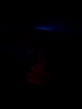 Snapshot of Ravi8879 chatting on September 24, 2025, 7:04 am Ravi8879 online show from September 24, 2025, 7:04 am