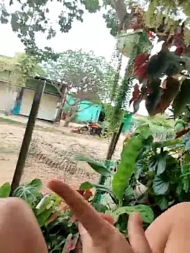 Snapshot of Lily-o chatting on December 16, 2025, 3:16 pm Lily-o online show from December 16, 2025, 3:16 pm