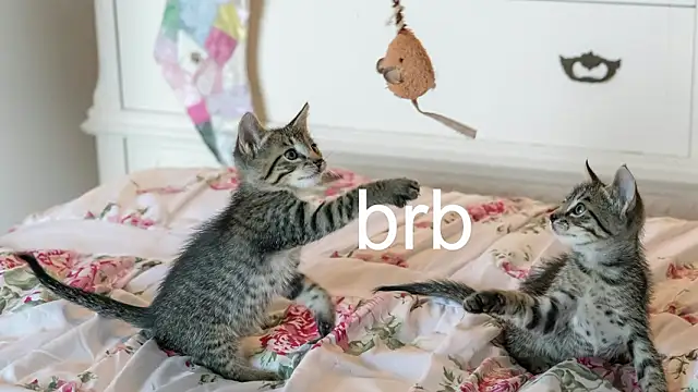 Pink girl0n online show from March 25, 2026, 11:47 pm