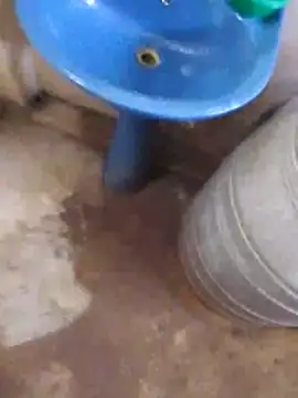 Pogga666 online show from November 9, 2025, 5:33 am