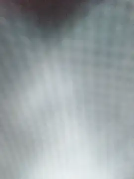 Reina Cummings online show from April 5, 2026, 5:14 am