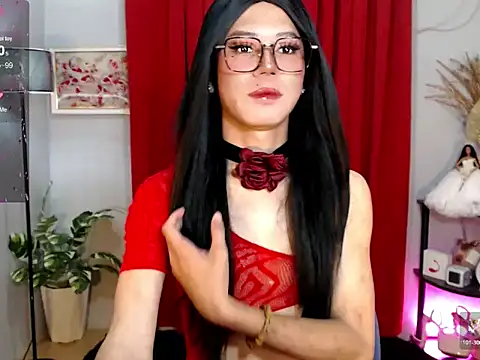 MissTransStella69 online show from November 19, 2025, 6:24 am