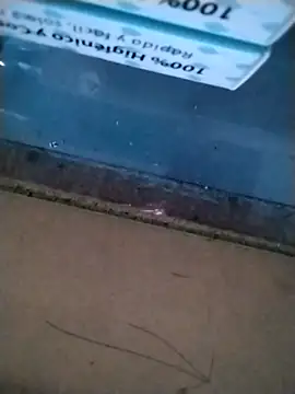 Katyuskka love online show from November 22, 2025, 6:51 pm