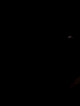 Lujor online show from November 28, 2025, 2:23 am