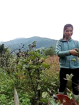 Phuongphuongg online show from October 28, 2025, 2:56 am